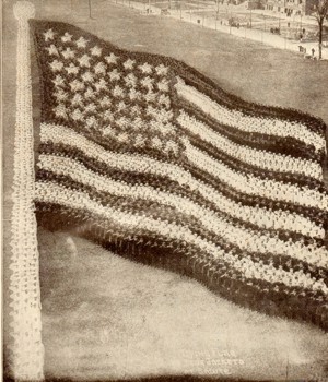 Navy Human Flag