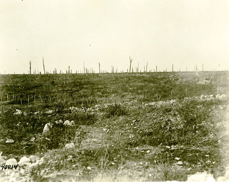 Verdun ruins