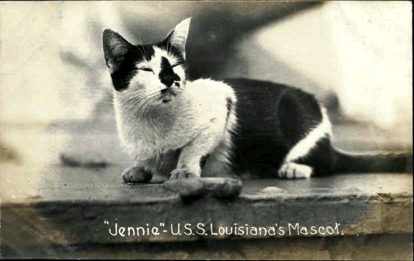 NAVYReal-photo postcard of a photograph of a cat named Jennie on the battleship USS Louisiana (BB-19). Jennie was the Louisiana’s mascot