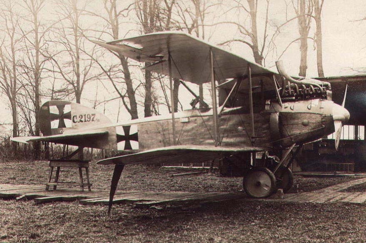 Albatros